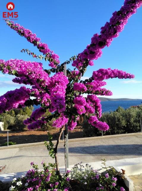 Dom podzielony na apartamenty wyspa Hvar