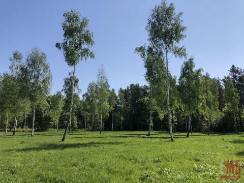 Działka budowlana - bliskość lasu i jeziora!