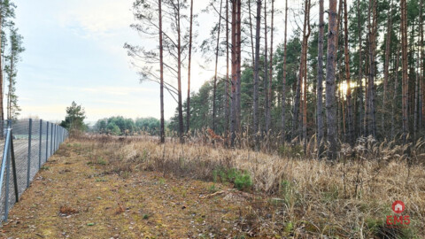 Działka 8500 m2, Jurowce
