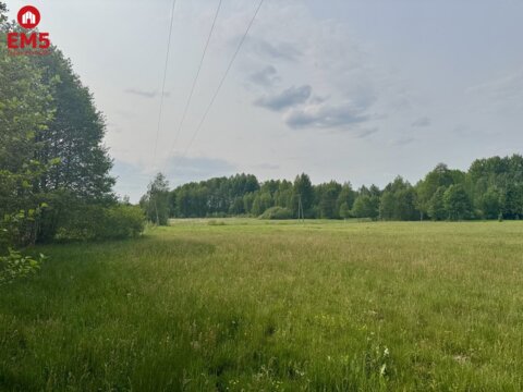 Działka w  Kosmatym Borku