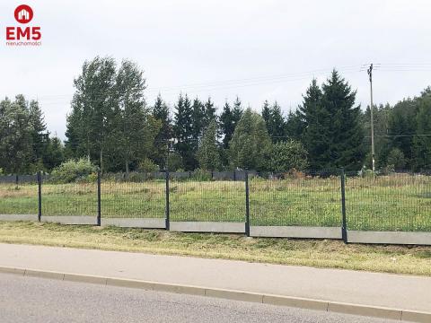 Teren 6000 m2 do wynajęcia