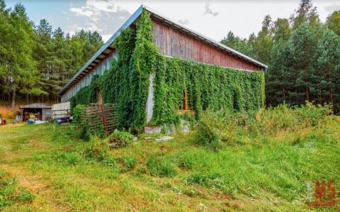 Ranczo na Podlasiu