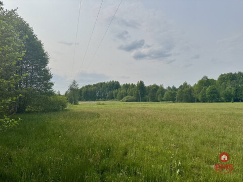 Działka w  Kosmatym Borku