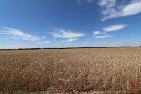 Działka budowlana z miejscowym planem w Raczkach