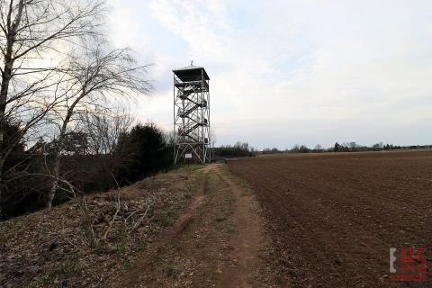 Działka budowlana na Suwalszczyźnie