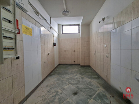 Lokal użytkowy 150 m2