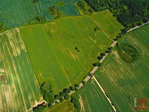 Pierwsza linia jeziora Harsz - działka budowlana.