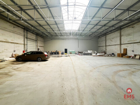 Warehouse/hall for rent