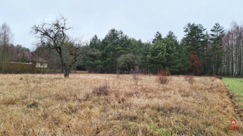 Działka 1743 m2, Pieńki