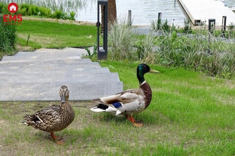Ośrodek nad jeziorem w Augustowie.