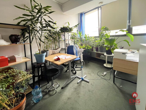 Business premises for rent