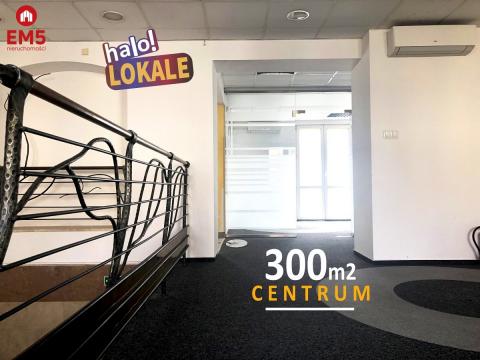 Ścisłe centrum 300 m2 parter plus piętro