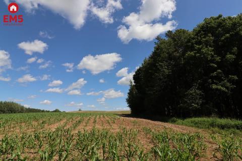 Działka na Mazurach z blisko jeziora