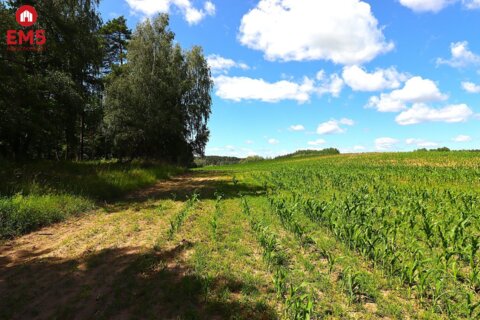 Działka budowlana na Mazurach Rożyńsk Wielki