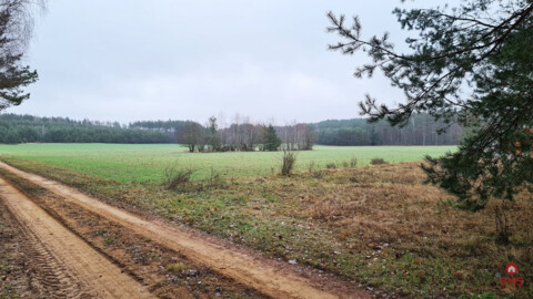 Działka 1743 m2, Pieńki