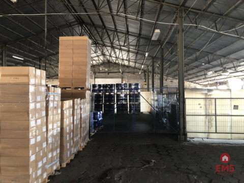 Hala magazynowa, Elewatorska