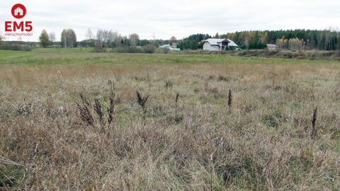 Działka rolna 1,15 ha, Królowy Most