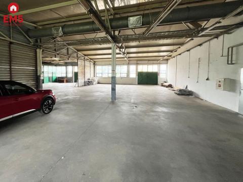 Hale do wynajęcia 2x270 m2
