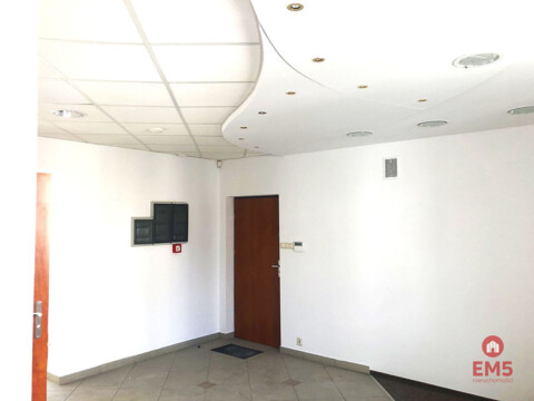 Ścisłe centrum 300 m2 parter plus piętro