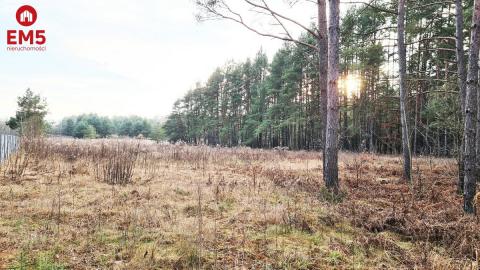 Działka 8500 m2, Jurowce