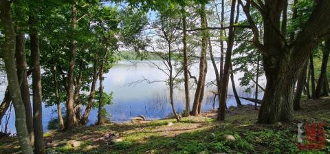 Działka 3300m Warmia plaża Jezioro Dąbrowa Mała