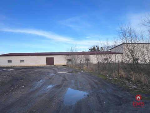 Budynek do wynajęcia  260-520 m2.