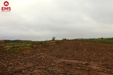 Działka rolno-budowlana - Żegary, gm. Sejny