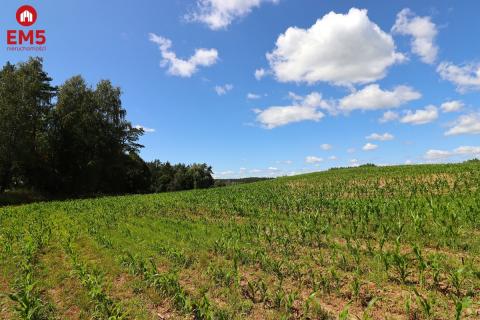 Działka na Mazurach z blisko jeziora
