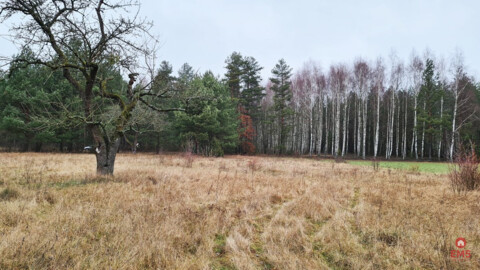 Działka 1900 m2. Pieńki