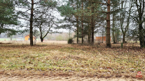 Działka 1743 m2, Pieńki