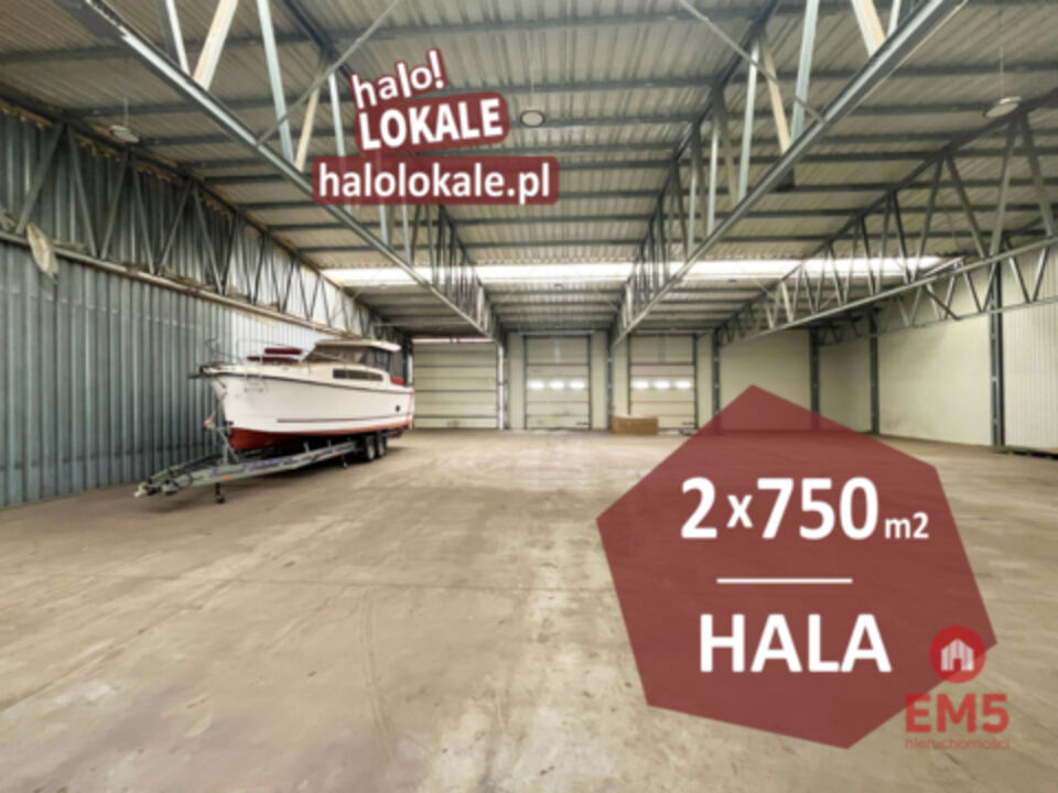 Hala, produkcja, magazyn