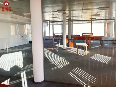 Business premises for rent