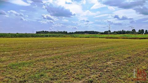 Działka rolno-budowlana 3742 m2