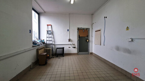 Lokal użytkowy 300 m2 na wynajem
