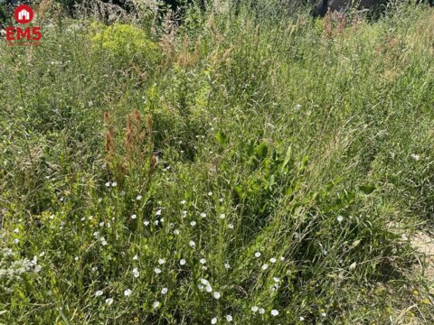 Grundstück zu verkaufen