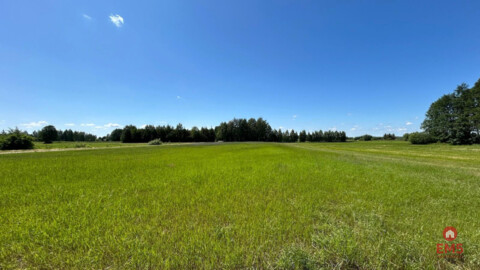 Działka rolno-budowlana 2,5 ha. Nowosiółki