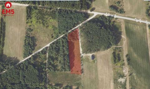 Działka 8500 m2, Jurowce