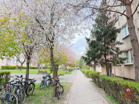 2 pokoje, świetna lokalizacja – Piastowska