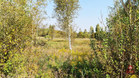 Ciasne. Działka budowlana 5100 m2.