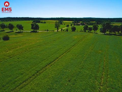 Pierwsza linia jeziora Harsz - działka budowlana.