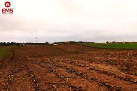 Działka rolno-budowlana - Żegary, gm. Sejny