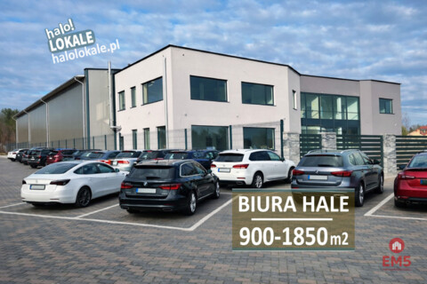 Warehouse/hall for rent