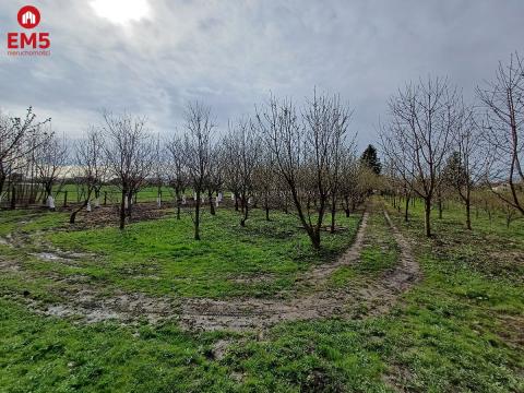 Urokliwy dom obok sadu