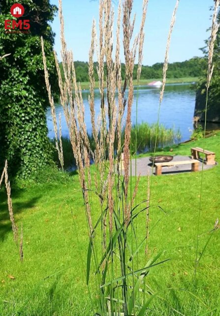 Geschäftsräume zu verkaufen