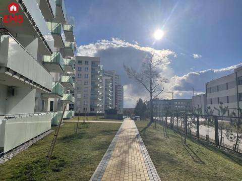Apartament w słońcu