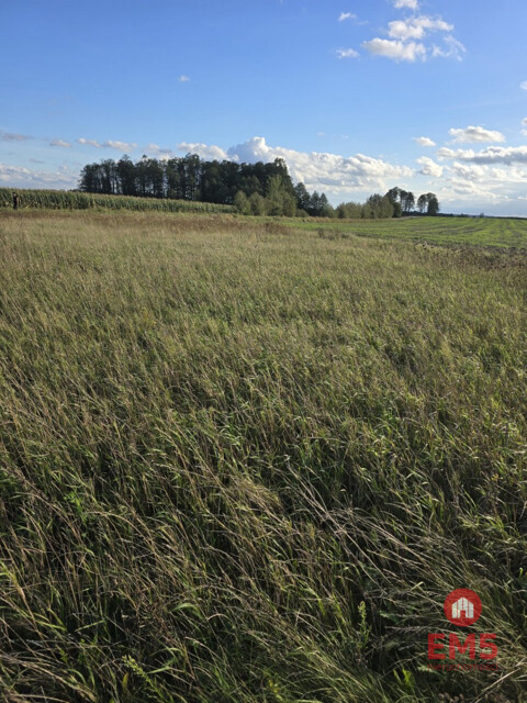 Działak budowlana blisko Narwi.