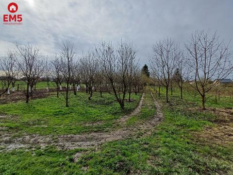 Urokliwy dom obok sadu