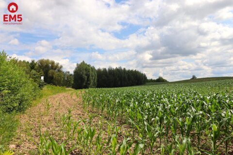 Grundstück zu verkaufen
