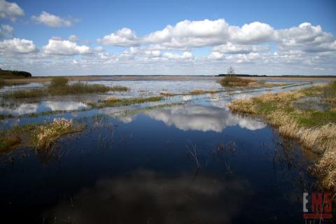 Działka nad zalewem Siemianówka