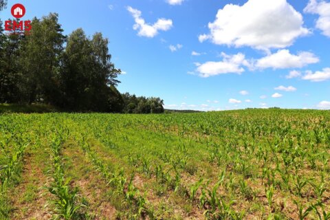 Działka budowlana na Mazurach Rożyńsk Wielki